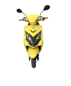 DHAVI E Bike-T