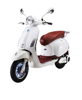 DHAVI E Bike-TSL